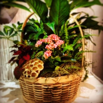 Bellamy Flowers - Florists Near Me - Brampton, Ontario Bellamy Flowers - Florists Near Me - Brampton, Ontario