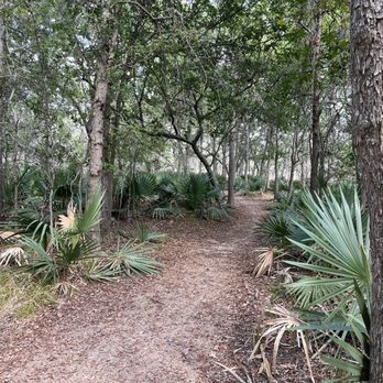 Palmetto State Park - Trails - Parks Near Me - Gonzales, Texas Palmetto State Park - Trails - Parks Near Me - Gonzales, Texas