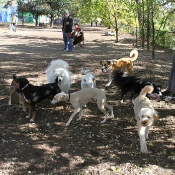 Shirlington Dog Park - Dog Parks Near Me - Arlington, Virginia Shirlington Dog Park - Dog Parks Near Me - Arlington, Virginia