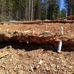 Boggs Mountain Demonstration State Forest