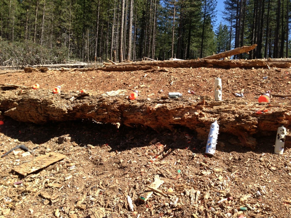 BOGGS MOUNTAIN DEMONSTRATION STATE FOREST Updated April 2025 Hwy