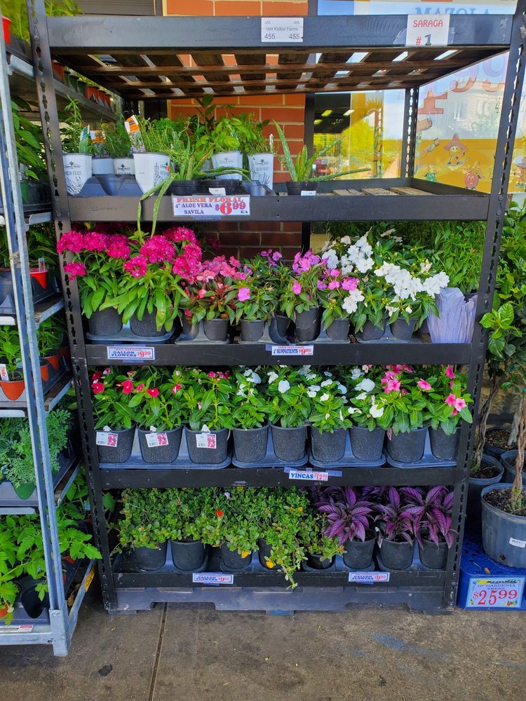 Cermak Produce Fresh Market