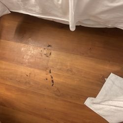 Motel 6 - Poop or blood?