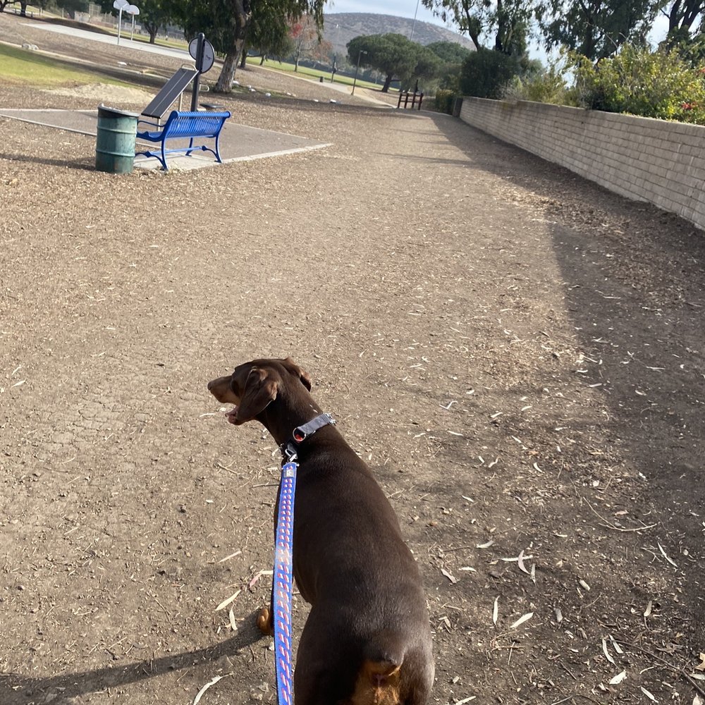 Pepper Tree Playfield - Kui walking around the park - Parks Near Me - Thousand Oaks, California Pepper Tree Playfield - Kui walking around the park - Parks Near Me - Thousand Oaks, California