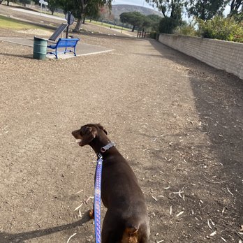 Pepper Tree Playfield - Kui walking around the park - Parks Near Me - Thousand Oaks, California Pepper Tree Playfield - Kui walking around the park - Parks Near Me - Thousand Oaks, California