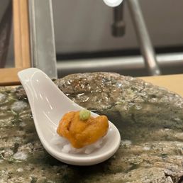 Sea Urchin