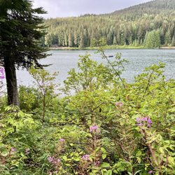 Lost Lake Park - Ridiculous. It's so pretty here.