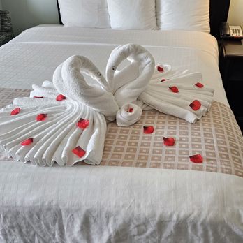 Park Place Hotel - Hotels Near Me - Ocean City, Maryland