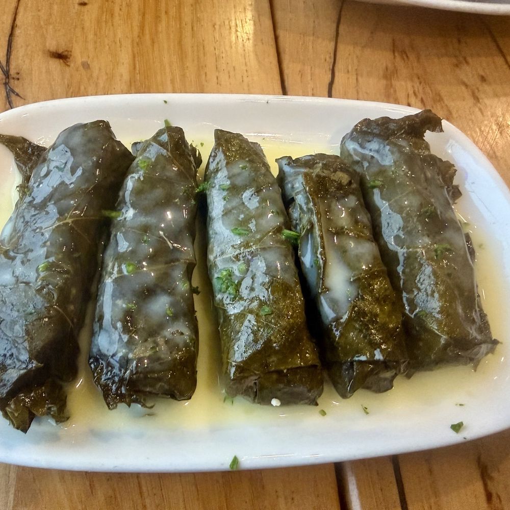 Plaka Grill - Dolmadakia - Greek Near Me - Vienna, Virginia