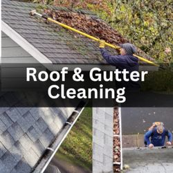Neighborhood Exterior - ROOF & GUTTER CLEANING