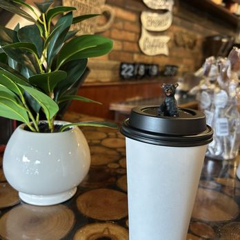 Appalachian Java Cafe & Desserts - Coffee & Tea Near Me - Burnsville, North Carolina
