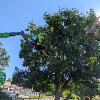 High Country Tree Service - Tree Services Near Me - Grand Junction, Colorado High Country Tree Service - Tree Services Near Me - Grand Junction, Colorado