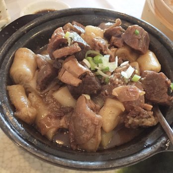 Nani Restaurant - Beef brisket with noodles stew was delicious! Meat was soft and tender. - Dim Sum Near Me - Madison, Wisconsin Nani Restaurant - Beef brisket with noodles stew was delicious! Meat was soft and tender. - Dim Sum Near Me - Madison, Wisconsin