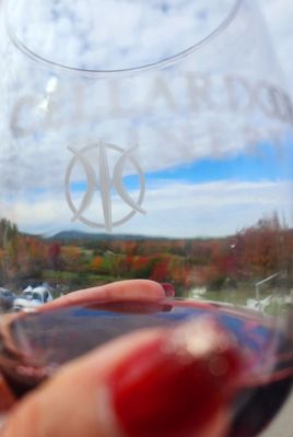 Cellardoor Winery by null