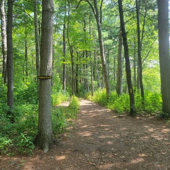 Sandy Acres Recreation Area - Hiking Near Me - Coventry, Rhode Island Sandy Acres Recreation Area - Hiking Near Me - Coventry, Rhode Island