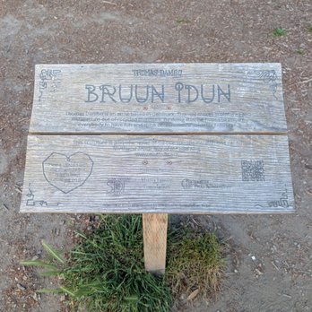 Bruun Idun - Public Art Near Me - Seattle, Washington