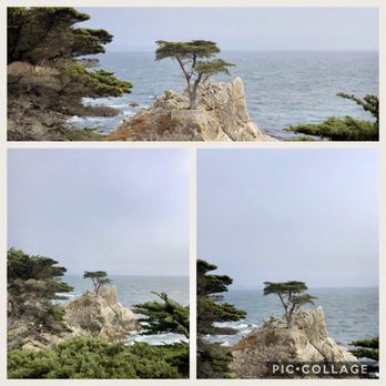 The Lone Cypress - 06/30/2018: From a distance... - Landmarks & Historical Buildings Near Me - Del Monte Forest, California