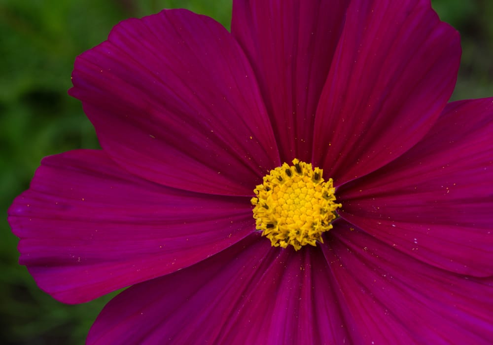 WINTER HARBOR ANTIQUES & WORKS OF HANDS Updated August 2024 424