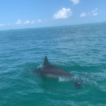 Easy Day Charters - Boat Charters Near Me - Key West, Florida Easy Day Charters - Boat Charters Near Me - Key West, Florida