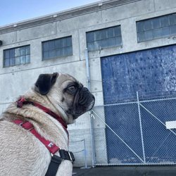 Pier 45
