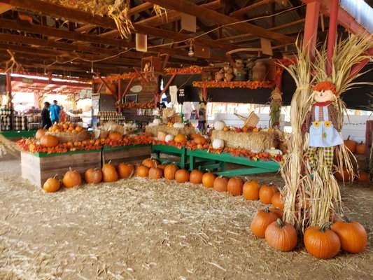 Tolmachoff Farms by null