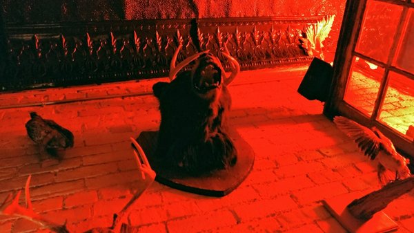The Comrade by null