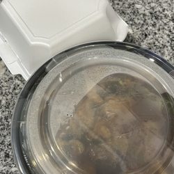 Asian Taste Restaurant