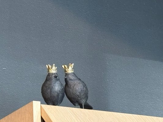 Blackbird Cafe & Bar by null