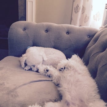 VCA Roberts Animal Hospital - Veterinarians Near Me - Hanover, Massachusetts VCA Roberts Animal Hospital - Veterinarians Near Me - Hanover, Massachusetts
