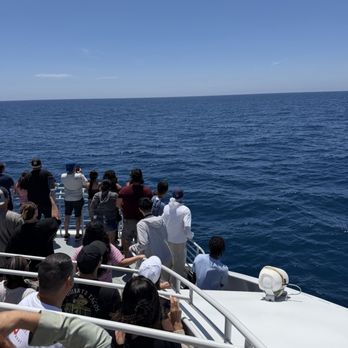 Harbor Breeze - Everyone on the front deck watching the whales - Boat Charters Near Me - Long Beach, California