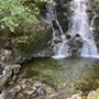 Photo of Ketchikan Native Tours
