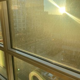 The windows