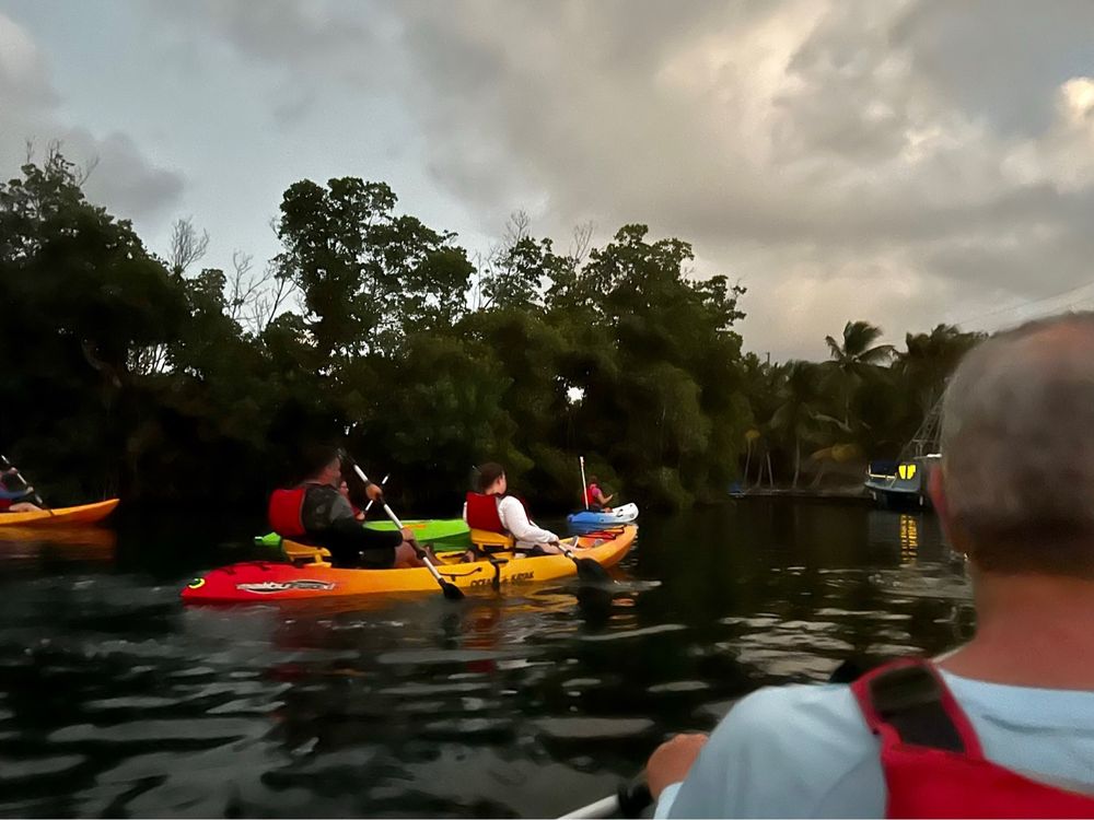 SEA THRU KAYAKS Updated October 2024 24 Photos & 69 Reviews Salt