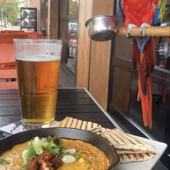 Wingman Birdz + Brewz - Delicious Buffalo chicken dip, with a cold beer.  A place to visit during the day. - Bars Near Me - Walla Walla, Washington