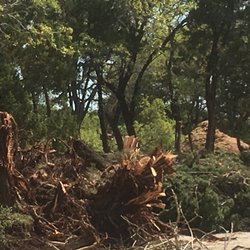 We Care Tree Care