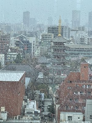 THE GATE HOTEL Kaminarimon by HULIC by null