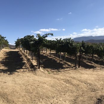Sunrider Wine Tours - 10/2018 AMAZING GUIDES!!! Thank you so much Travis & Tyler!!! - Wine Tours Near Me - Temecula, California