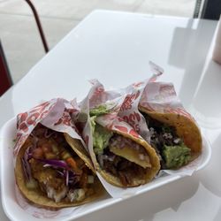 Tacos 1905
