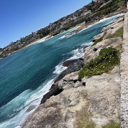 Bondi to Coogee Beach Coastal Walk