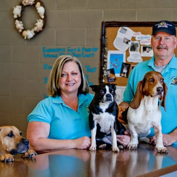 Paradise Doggie Daycare - Pet Groomers Near Me - Sutter Creek, California Paradise Doggie Daycare - Pet Groomers Near Me - Sutter Creek, California