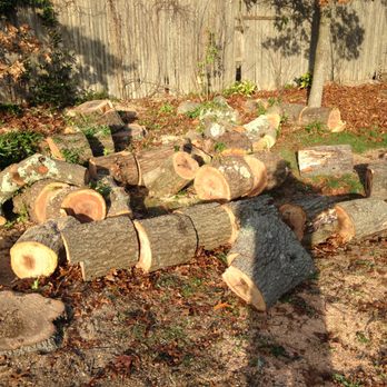 Ortiz Tree Service - The massacred corpus oak tree truncated to no longer intimidate neighbor's commorancy during storm and fierce winds. - Tree Services Near Me Ortiz Tree Service - The massacred corpus oak tree truncated to no longer intimidate neighbor's commorancy during storm and fierce winds. - Tree Services Near Me