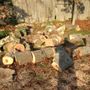 Photo of Ortiz Tree Service