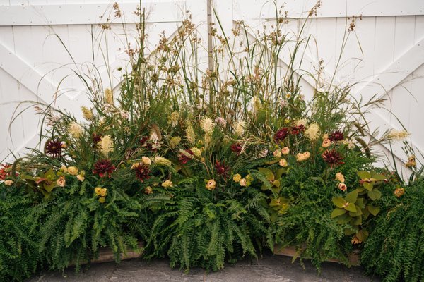 Hops Petunia Floral by null
