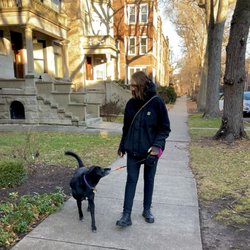 Conscious Pet Service