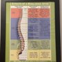 Elevate Family Chiropractic