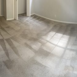 Action Carpet Cleaning - After in worst room