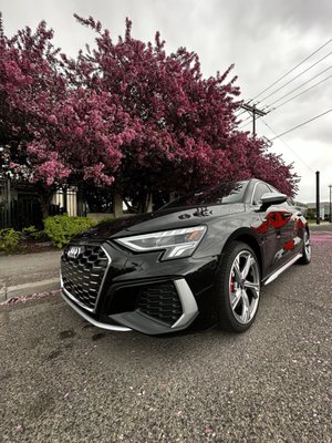 AUDI SALT LAKE CITY - Updated June 2026 - 14 Photos & 108 Reviews - 999 ...