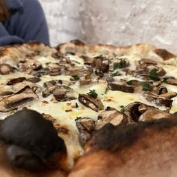 Fungi Pizza Fungi Pizza