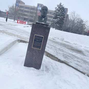 1. Northern Illinois University