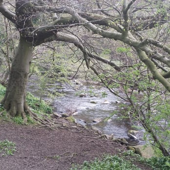 Colinton Dell - Parks Near Me - Edinburgh, EDH